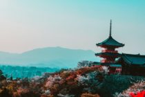 Red & Black Temple Surrounded by Trees