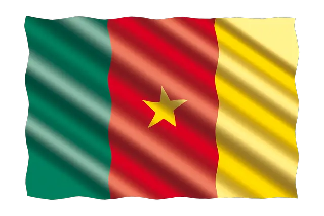 Flag of Cameroon