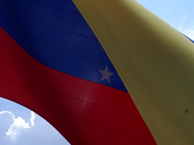 Venezuela flag