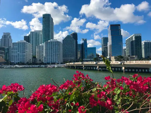 Pexels - City Skyline Under Blue Sky