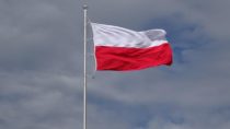 Study in Poland