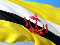 Study in Brunei