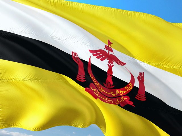 brunei flag