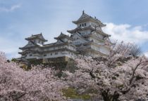 Top International Scholarships in Japan 2023