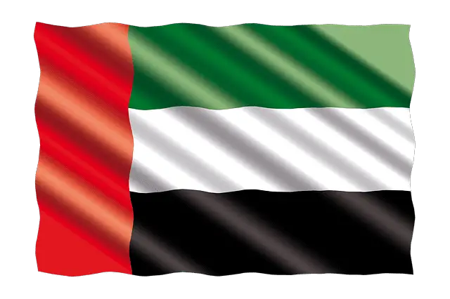 United Arab Emirates flag