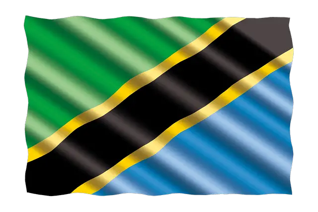 tanzania flag