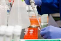working on test tube