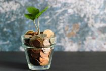 A transparent cup of money with plant growing inside