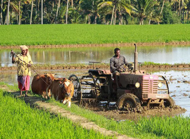 Agricultural farmland