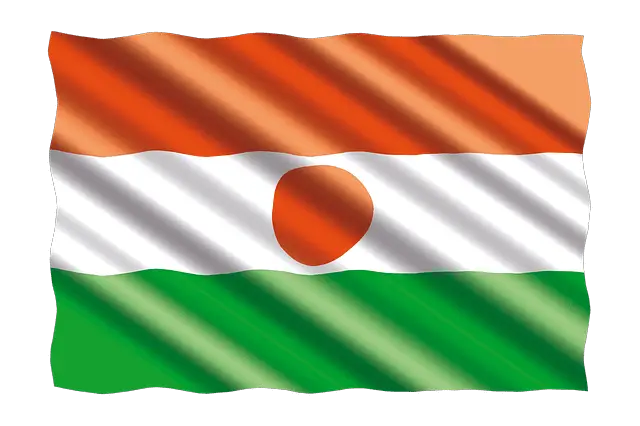 Niger flag