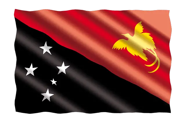 Papua New Guinea flag