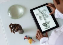 African American scientist studying anatomy with tablet