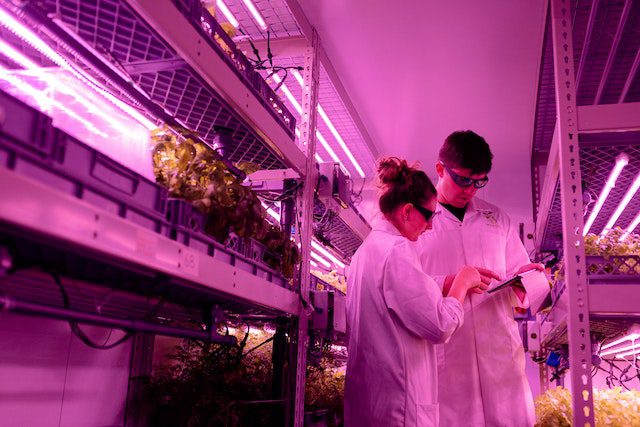 Pexels- Students on Laboratory
