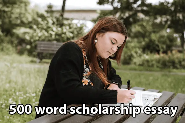 500 word scholarship essay