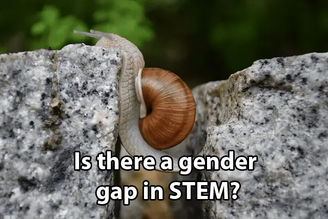 Is there a gender gap in STEM