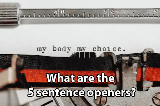 What are the 5 sentence openers