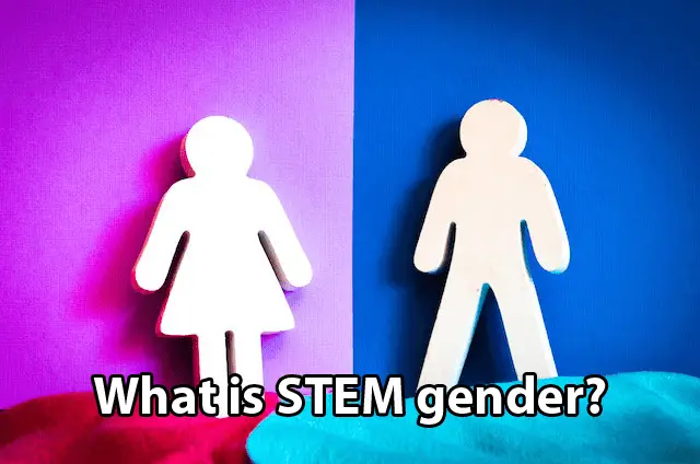 What is STEM gender