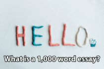 What is a 1,000 word essay?