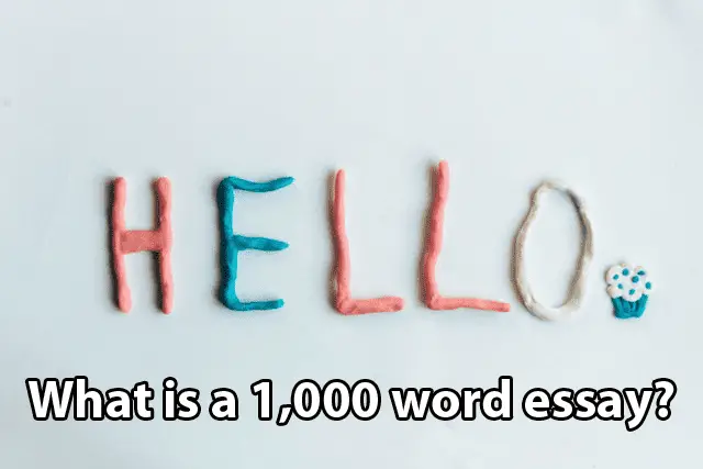 What is a 1,000 word essay