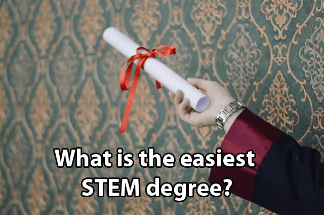 What is the easiest STEM degree