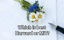 Which is best Harvard or MIT?