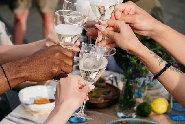 Person Holding Clear Wine Glass