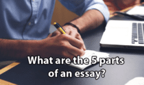 What are the 5 parts of an essay?