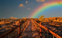 Pioneering a Path: Empowering Women in STEM through Scholarships