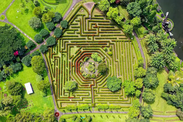 aerial shot of maze