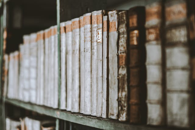 a row of books on a shelf