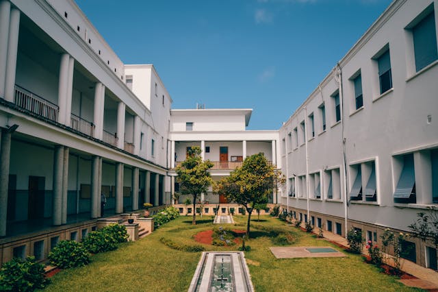 green trees between white concrete buildings