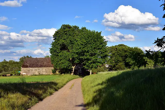 way village landscape nature trees