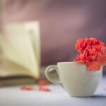 flower red peace calm relaxation