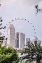 singapore flyer with urban skyline view
