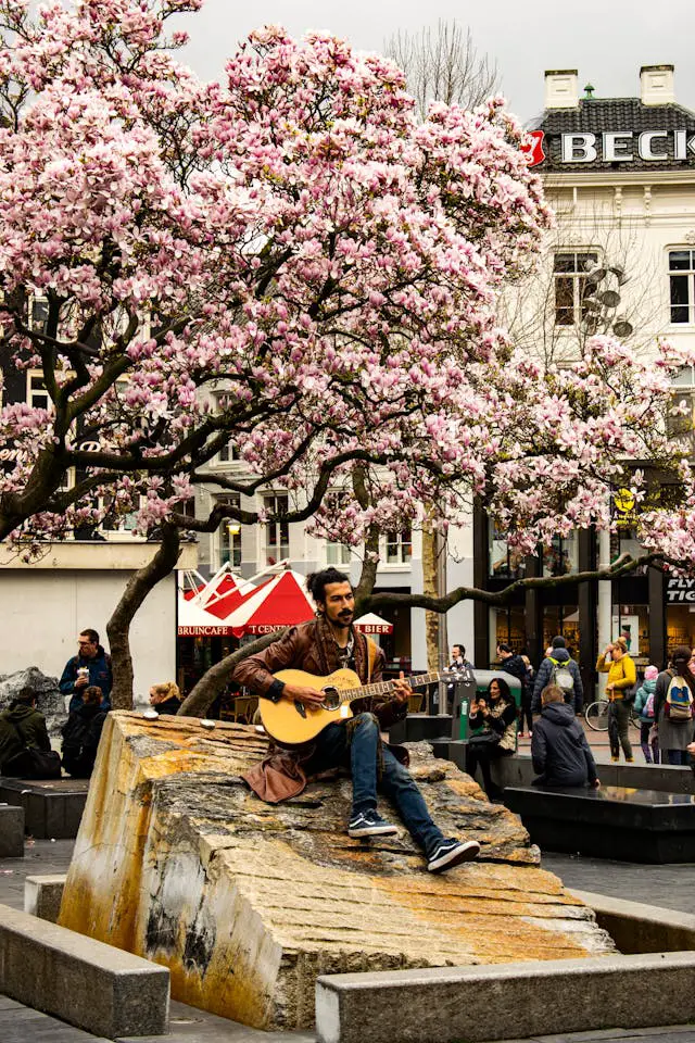 ethnic man playing guitar on street