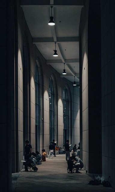 library university school