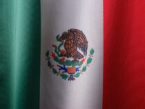 a close up of the flag of mexico