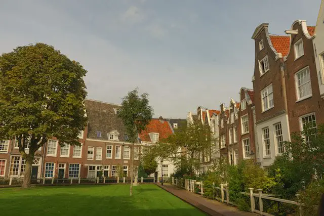 a row of brick buildings next to a lush green park