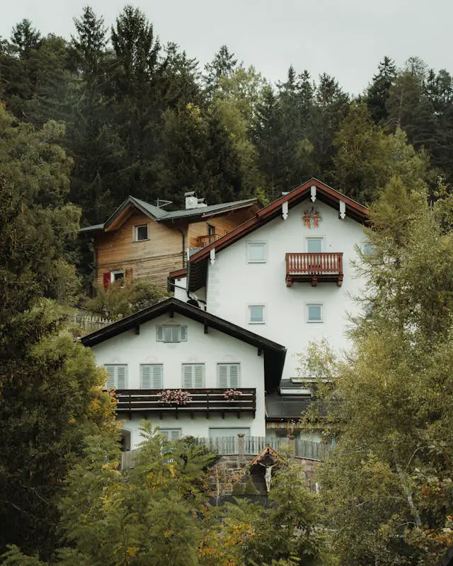 charming mountain cabins surrounded by lush forest
