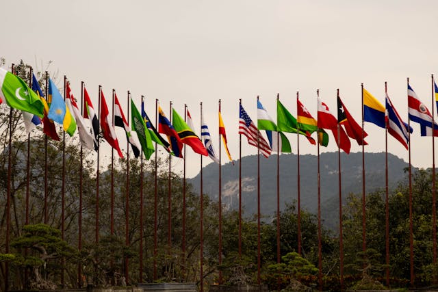 colorful flags on flagpoles