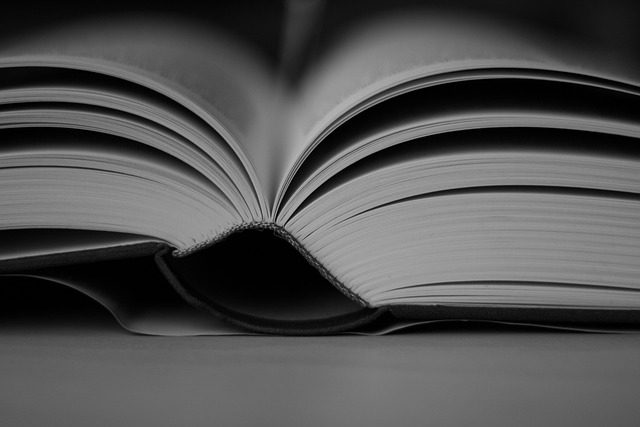 book pages literature detail read