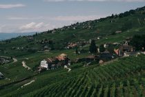 mountain village in summer