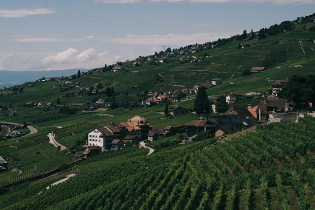 mountain village in summer