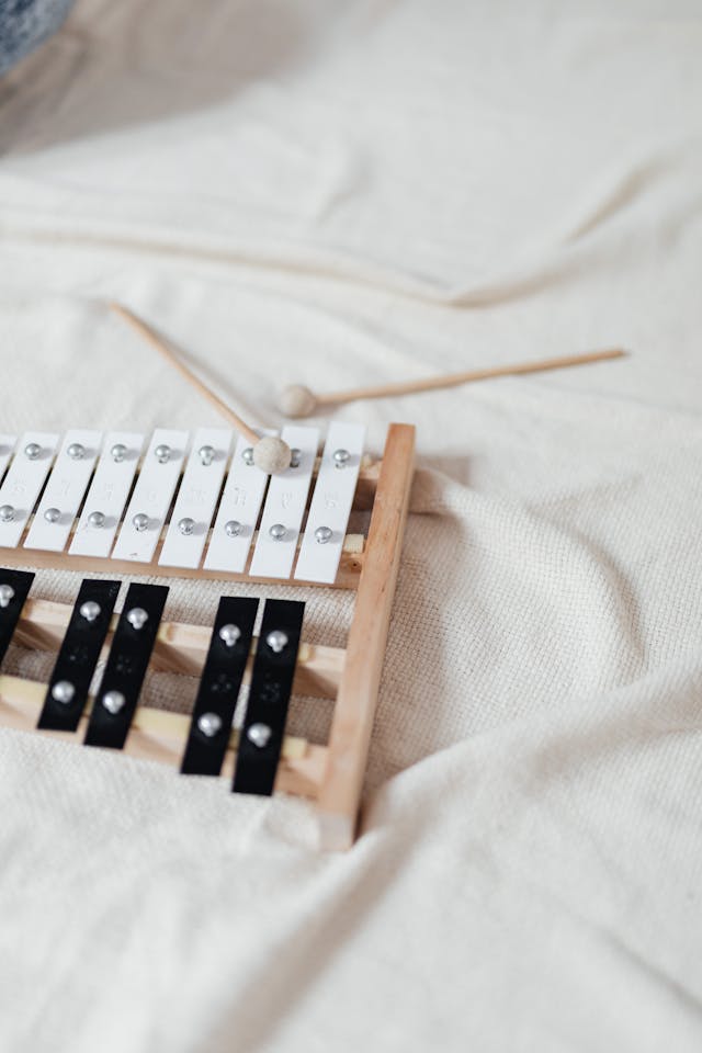 a percussion instrument over the blanket