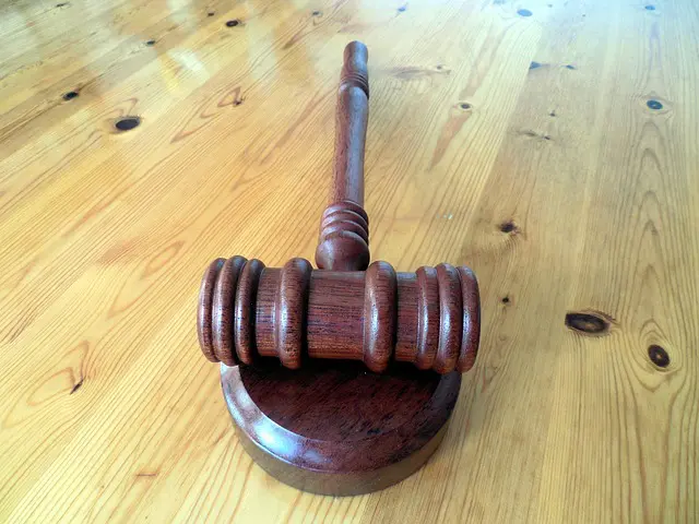 hammer dish judge justice law
