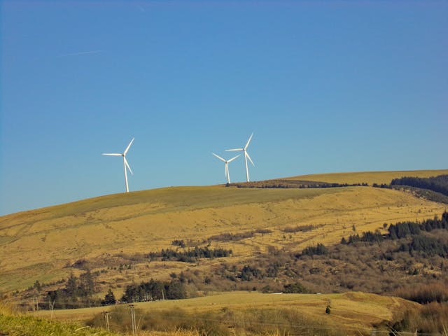 three white windmills on green field under blue sky