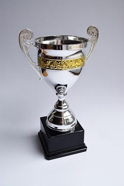 trophy award winner prize cup