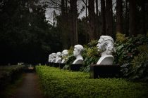celebrity forest einstein