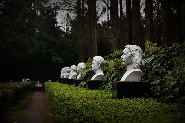 celebrity forest einstein