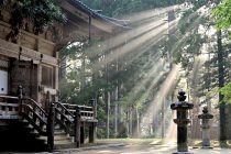 sun rays forest koyasan temple fog